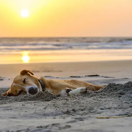 5 Sterne Boddenoase Mit Ostseeblick