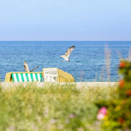 5 Sterne Boddenoase Mit Ostseeblick شقة فاستروم