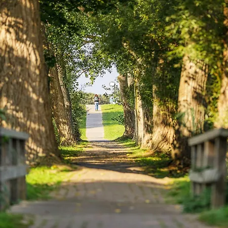 5 Sterne Boddenoase Mit Ostseeblick *
