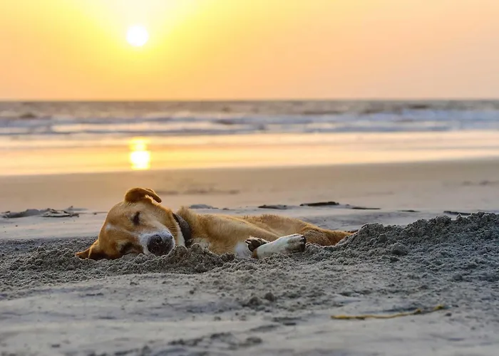 5 Sterne Boddenoase Mit Ostseeblick