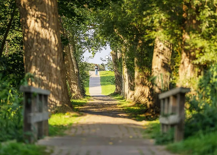 5 Sterne Boddenoase Mit Ostseeblick *
