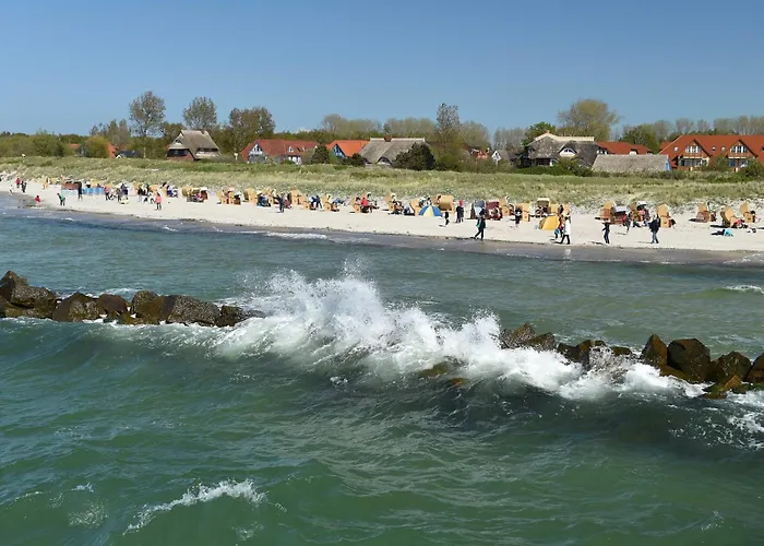 5 Sterne Boddenoase Mit Ostseeblick アパート